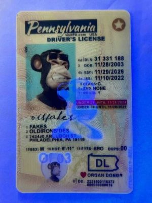 import placeholder for 2155