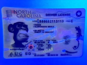 import placeholder for 2041