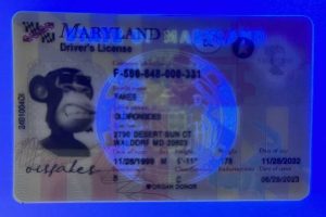 import placeholder for 2103