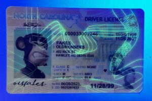 import placeholder for 2452