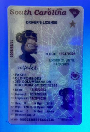 import placeholder for 2503