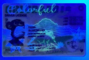 import placeholder for 2061