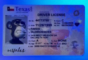 idplug Texas Driver License