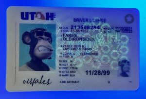 IDplug Utah Driver License