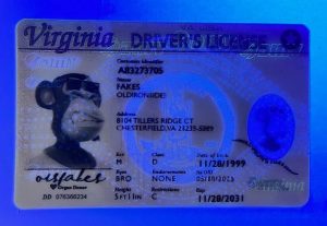 idplug Virginia Driver License