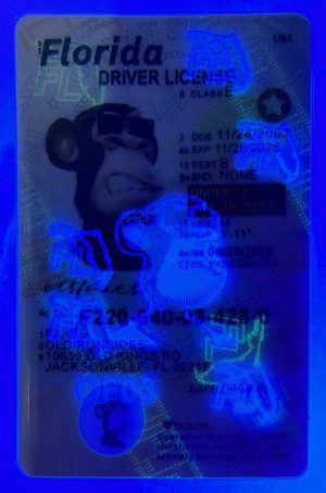 import placeholder for 2305